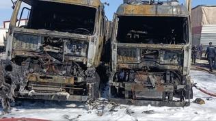 Park halindeki t�rlar alevlere teslim oldu