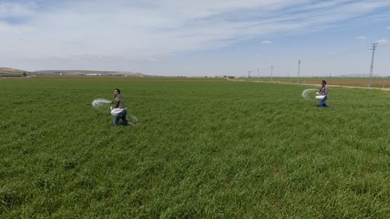 Gaziantepli �ift�iler ya���lar�n ard�ndan mesaiye ba�lad�