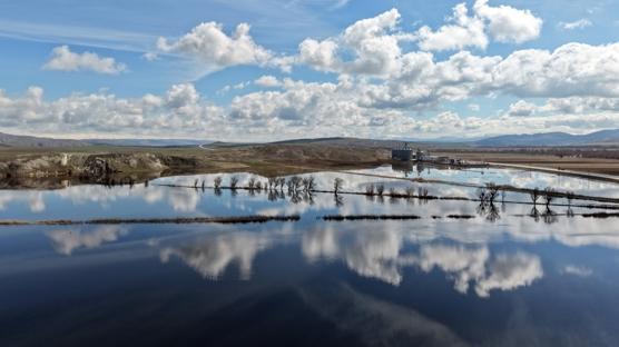 Sivas'ta ya�murun ard�ndan olu�an birikintiler ku�lar�n durak noktas� oldu