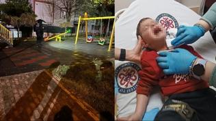 Parkta korkun� olay: 2 ya��ndaki �ocu�u bo�az�ndan yaralad�