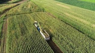 Proje �st limiti 30 milyon TL olarak belirlendi! Yat�r�mc�ya hibe deste�i sa�lanacak