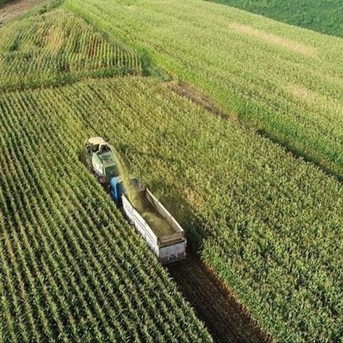 Proje üst limiti 30 milyon TL olarak belirlendi! Yatırımcıya hibe desteği sağlanacak