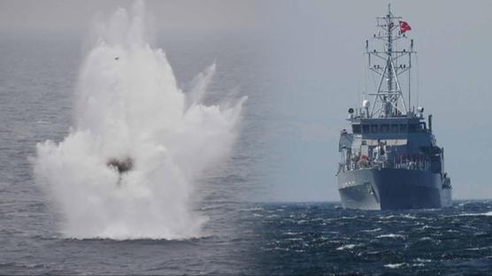 228 bin may�n imha edildi