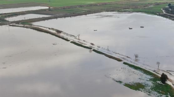 İzmir'de sağanak! Tarım arazileri su altında kaldı