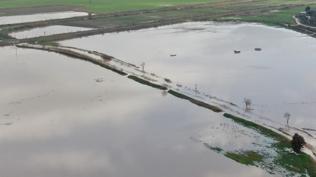 İzmir'de sağanak! Tarım arazileri su altında kaldı