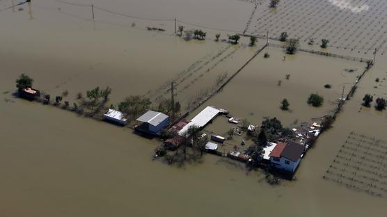 Manisa'da Gediz ve Nif ta�t�! Tar�m arazileri ve hayvan damlar� sular alt�nda