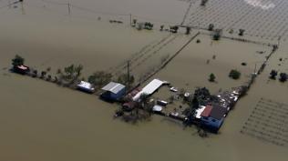 Manisa'da Gediz ve Nif ta�t�! Tar�m arazileri ve hayvan damlar� sular alt�nda