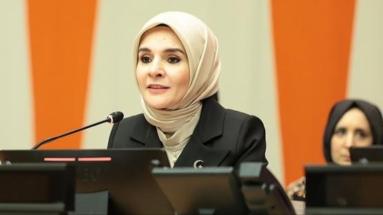 Bakan G�kta�: Roman vatanda�lar�m�z�n ihtiya�lar�n� g�zeten bir yerle�im modeli hedefliyoruz