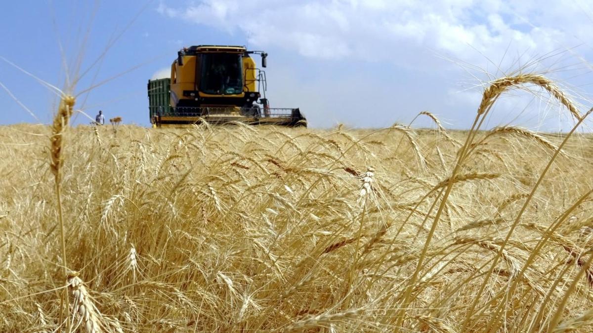 Çiftçiye müjde! 19,5 milyarlık ödeme bugün hesaplarda