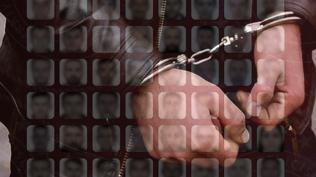 7 ülkeden Türkiye'ye geri getirildiler