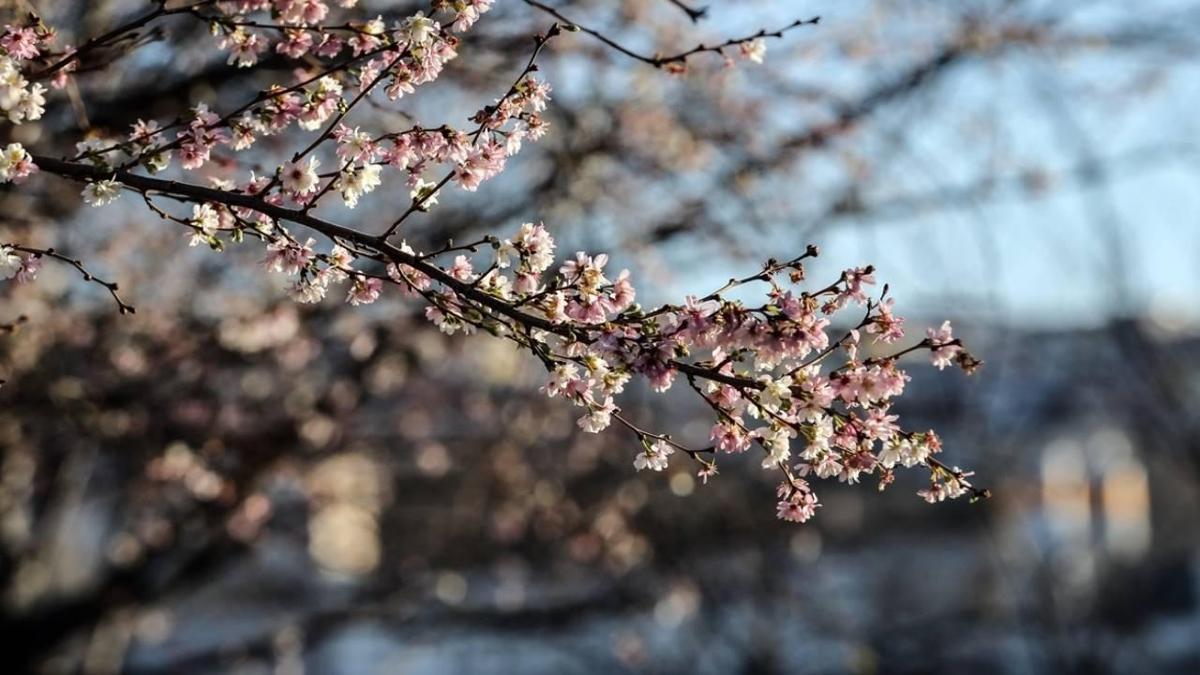 Yurt mevsim normallerine d�nmeye ba�layacak! Tarih verildi