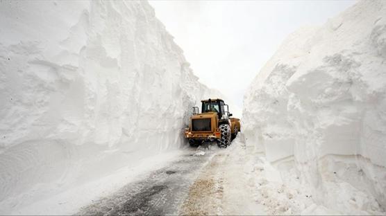 Nisan ortas�nda kar esareti: Karayollar� ekipleri 50 can� tipinin elinden �ekip ald�