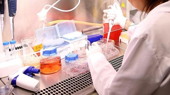 T�rkiye'de uygulanmaya ba�land�