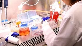 Türkiye'de uygulanmaya başlandı