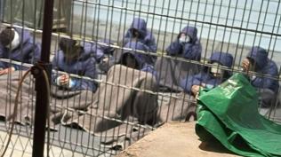 Tecav�zc� askerler geri d�n�yor