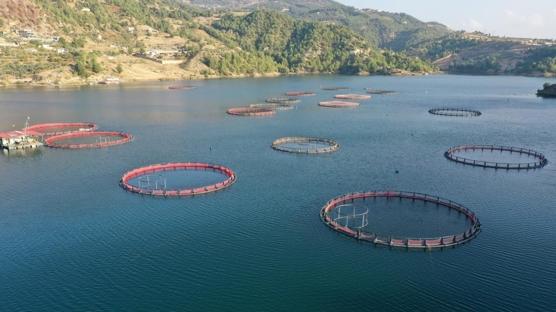 T�rkiye'den 22 �lkeye ihracat: 3 ayda 85 milyon dolar� a�t�