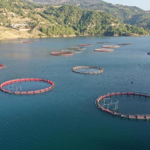 T�rkiye'den 22 �lkeye ihracat: 3 ayda 85 milyon dolar� a�t�