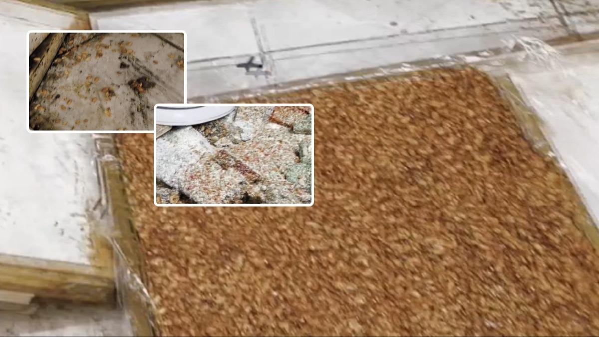 Zab�talar k�t� koku ihbar�na geldiler: G�rd�kleri kar��s�nda mideleri buland�