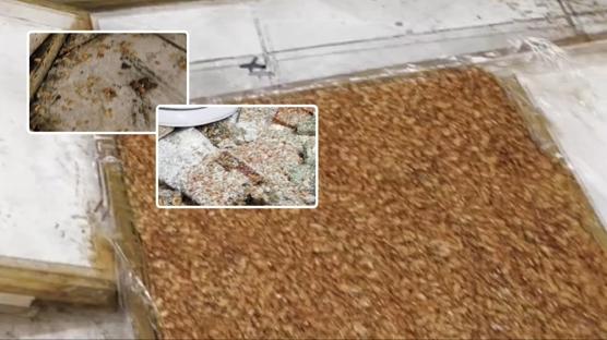 Zab�talar k�t� koku ihbar�na geldiler: G�rd�kleri kar��s�nda mideleri buland�