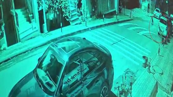 Ara�lara zarar veren k�pekler vatanda�� kovalad�