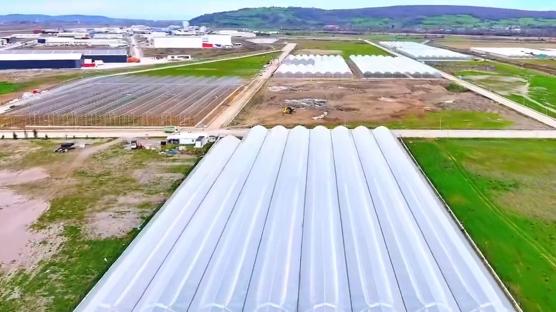 D�n���m ba�lad�! Karadeniz'de tar�m devrimi