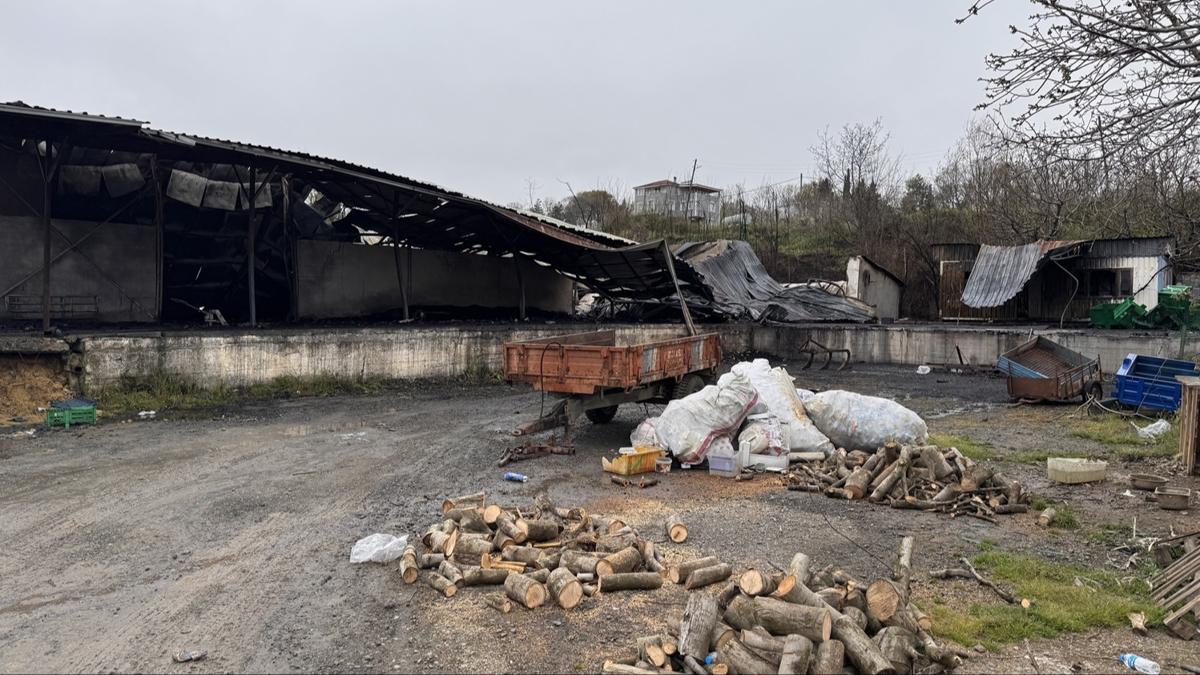 Samsun'da depoda ��kan yang�n s�nd�r�ld�