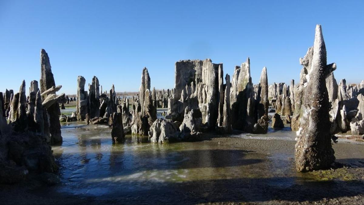 Van G�l� d�nya sahnesine ��k�yor