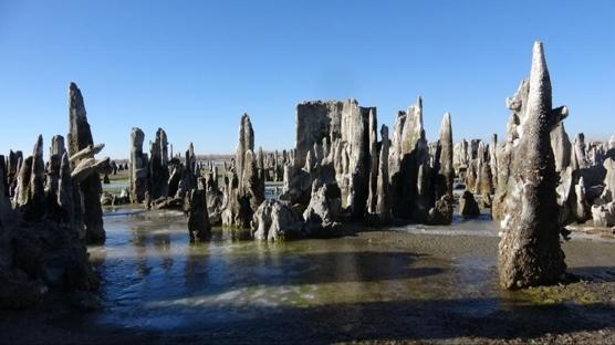 Van G�l� d�nya sahnesine ��k�yor