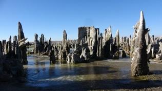 Van G�l� d�nya sahnesine ��k�yor