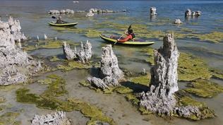 Rekor i�in resmi ba�vuru yap�ld�