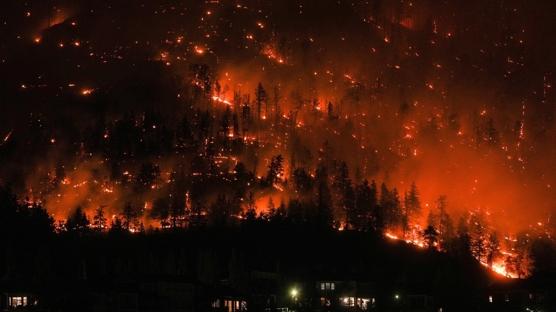 ABD'de yang�n facias�: 27 bin d�n�ml�k alan k�le d�nd�