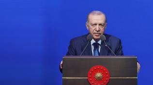 Cumhurba�kan� Erdo�an'dan k�resel bar�� mesaj�: �ocuklar ku� c�v�lt�lar�yla uyans�n istiyoruz