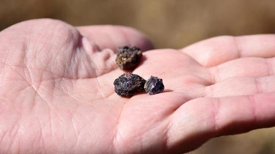 15,9 milyon tonluk dev rezerv i�in d��meye bas�ld�