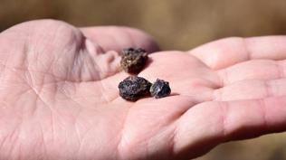 15,9 milyon tonluk dev rezerv i�in d��meye bas�ld�