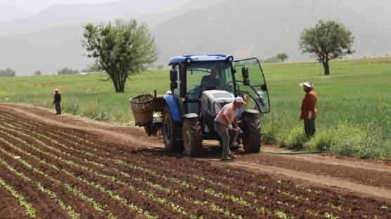 �ift�ilere tar�msal destekleme �demesi yap�lacak