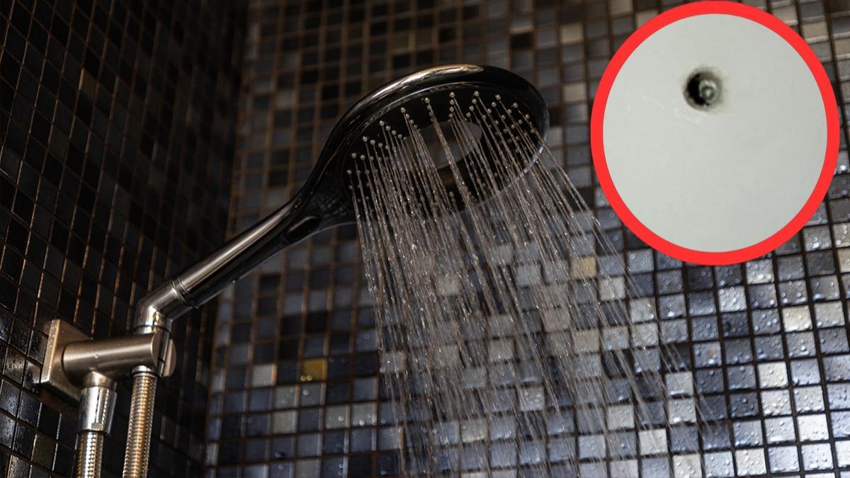 Zonguldak'ta 'y�lan kameral�' r�ntgenci deh�eti