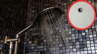 Zonguldak'ta 'y�lan kameral�' r�ntgenci deh�eti