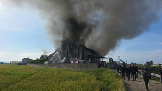 Cips fabrikas� k�le d�nd�: Antalya'da korkutan yang�n