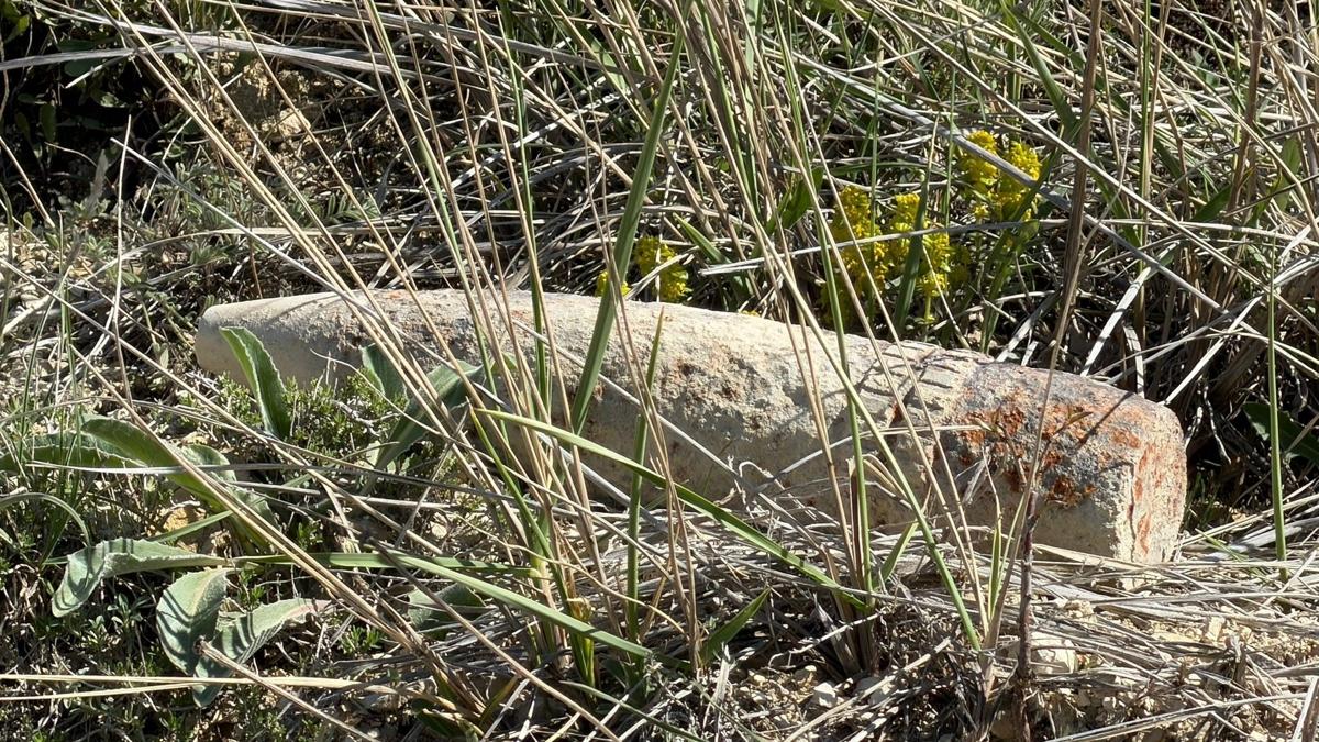 Ankara'da tehlikeli ke�if: Mantar toplarken top mermisi buldu