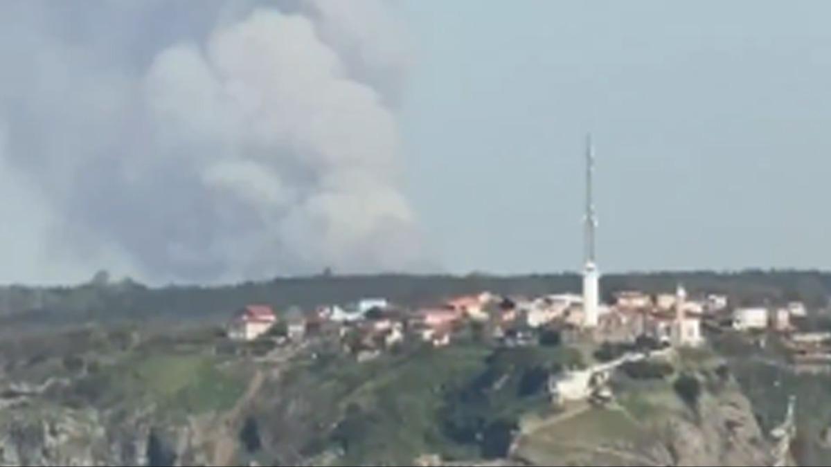 Beykoz'da ormanl�k alanda yang�n: �ok say�da ekip sevk edildi