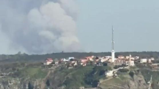 Beykoz'da ormanl�k alanda yang�n: �ok say�da ekip sevk edildi