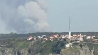 Beykoz'da ormanl�k alanda yang�n: �ok say�da ekip sevk edildi