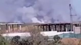 Beykoz'da ormanl�k alanda yang�n: �ok say�da ekip sevk edildi