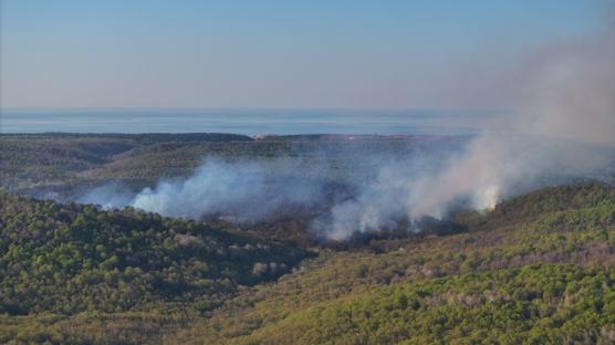 �atalca ve Beykoz'da orman yang�n�: Ekipler seferber oldu