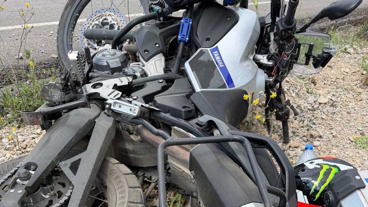 K�pe�e �arpmamak i�in manevra yapt�: Son anda hayat� kurtuldu