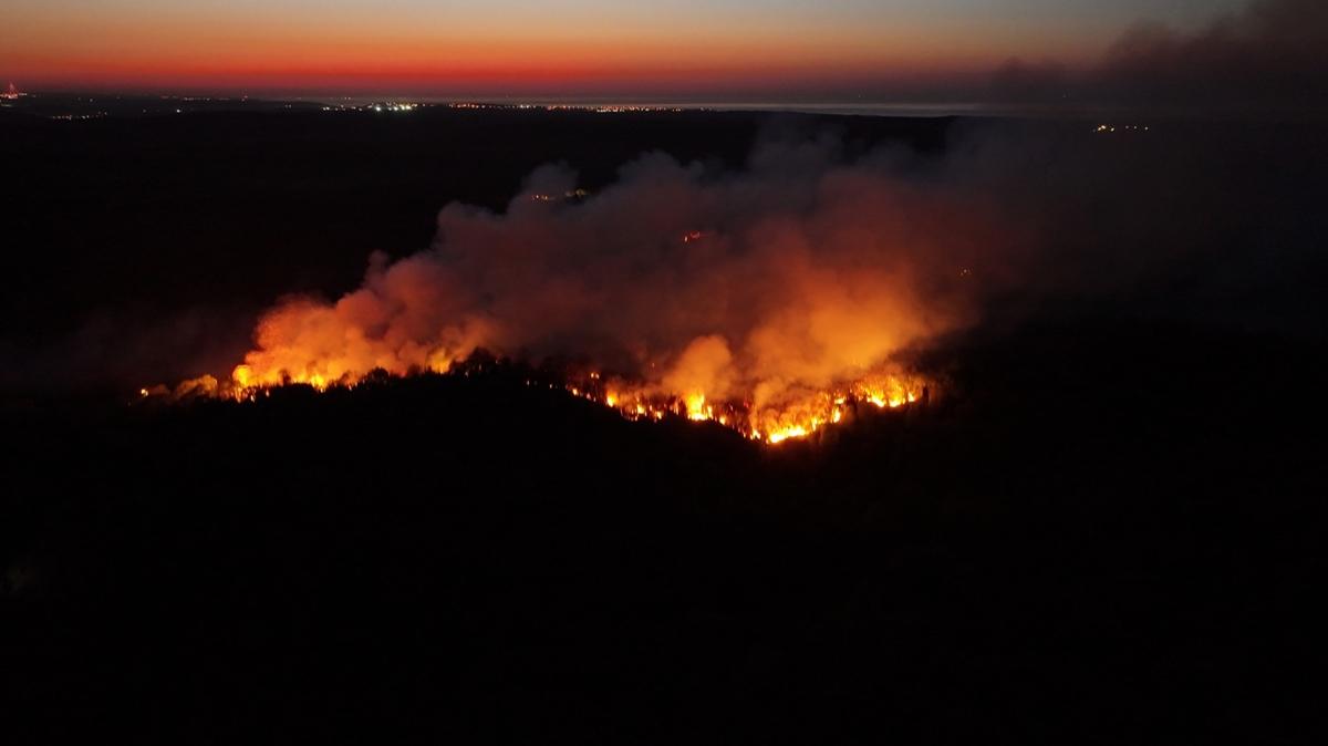 Beykoz'daki orman yang�n�na ili�kin Valilikten a��klama