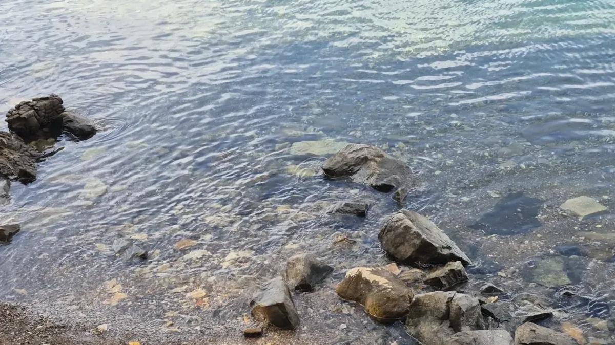 Marmaris'te korkutan sabah! Denizde erkek cesedi bulundu