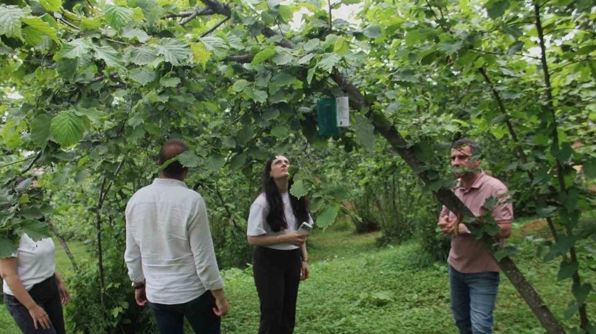 Türkiye'den tarıma kalkan! Üç ülke ortak projede buluştu