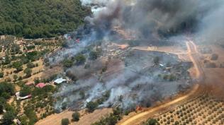 Fethiye'de orman yangını çıktı