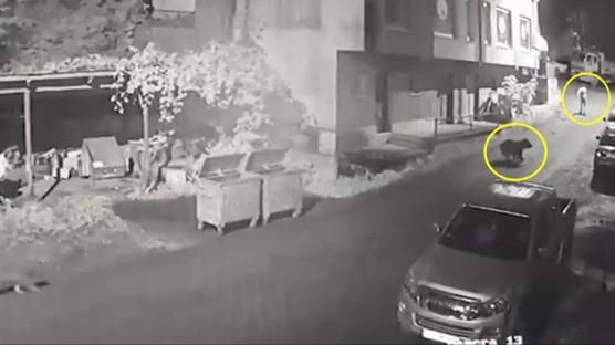 Yoldan ge�erken ay� kovalad�